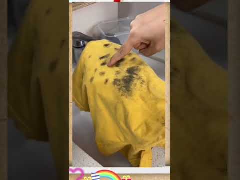 How to clean up moldy clothes