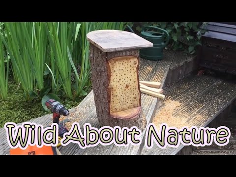 Insect, Bee & Bug Hotel - DIY Beautiful Tree Stump / Log Bee Habitat