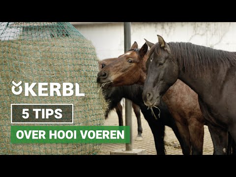 De beste tips voor het voeren van hooi + diverse SLOWFEEDERS!