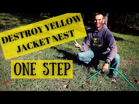 How To Get Rid Of Yellow Jacket / Ground Wasp Nest With ONE STEP!