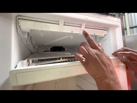 How to access evap fan on Liebherr BLP model freezer