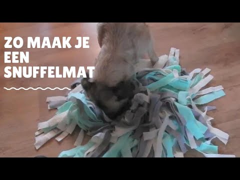 Snuffelmat maken voor je hond