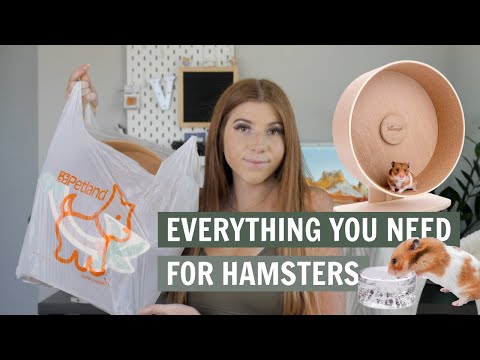 Everything you NEED for a Hamster Everything you NEED for a Hamster