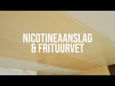 Nicotine staining + Frying fat + Cigarette smell removal (EN subs) - Frisse Kater