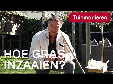 Hoe je gazon inzaaien of doorzaaien? | Lente | Tuinmanieren