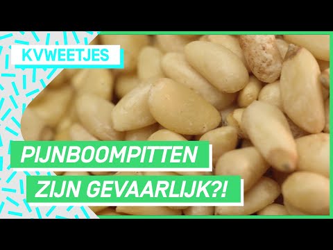 Weken ziek door foute pijnboompitten?! | KVWEETJES #9 | NPO 3