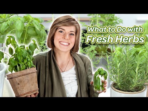 What To Do With Fresh Herbs | You Can Cook That | Allrecipes.com