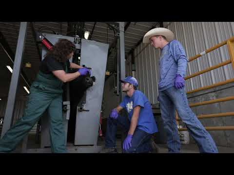 The Cow-Calf Education and Research Facility