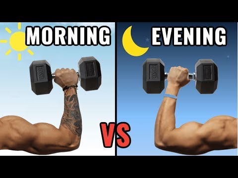 When is the Best Time to Workout to Build Muscle? (Morning vs Evening)