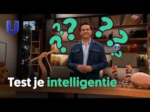 Wanneer ben je intelligent?