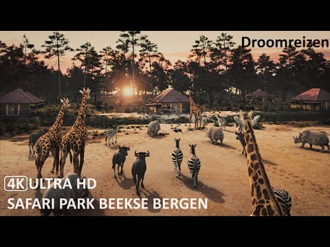 Safari Park Beekse Bergen 2023 - [4K] Ultra HD