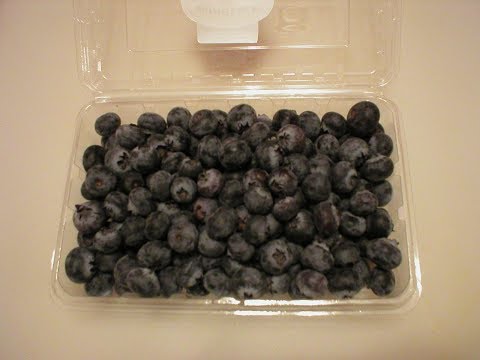 Easy Way to Keep Blueberries Fresh Longer