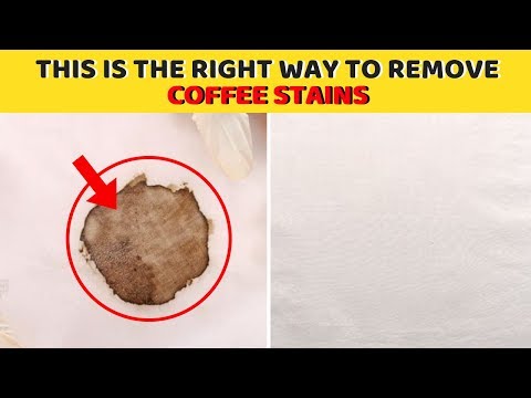 Remove old coffee stain from cotton fabric, white t shirt, and jeans easily – House keeper