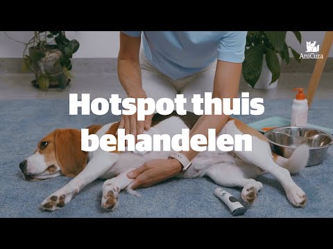 Hotspot hond behandelen - AniCura