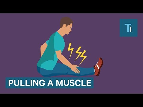 What Happens When You Pull A Muscle